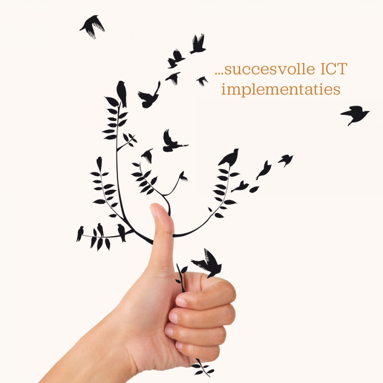 Succesvolle ICT Implementaties