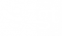 ZGT